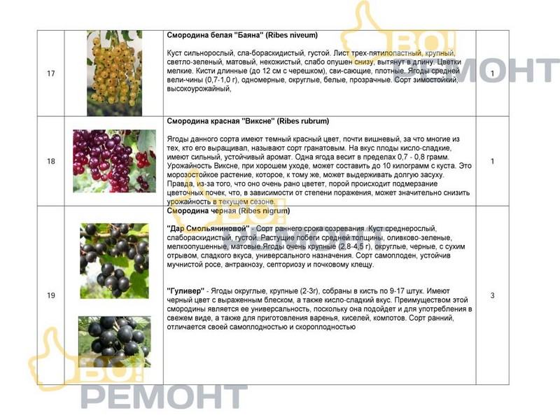 Проект благоустройства территории-102